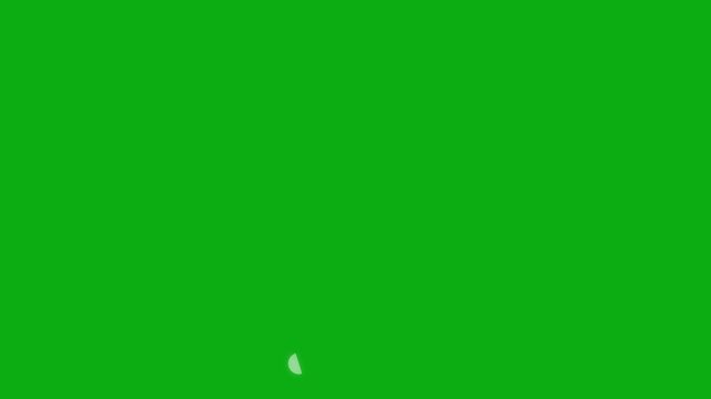 Animated white heart drawn with liquid effect. The effect of a drawing and disappearing brush stroke. Concept of love, volunteering, donation. Vector illustration isolated on green background. Looped