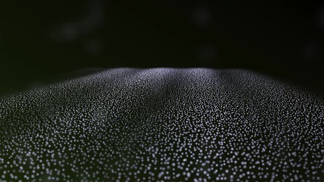 A vast, darkly textured surface resembling a deep organic wave or dense undulating hill