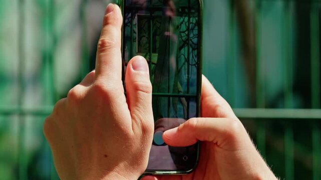 Close-up of hands holding a smartphone and filming a chimpanzee sitting inside a zoo enclosure.