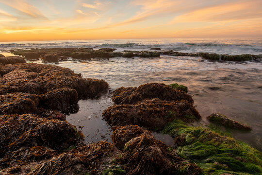 Tide Pool Channel Leading to Ocean at Golden Sunset on Rocky Beach, Coastal Seascape