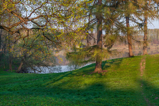 Beautiful scenic view of a spring park with green lawn path and forest lake at sunset