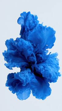 Blue ink drops mix with clear water in a slow motion scene with blooming shapes and soft expanding tendrils on a white background.