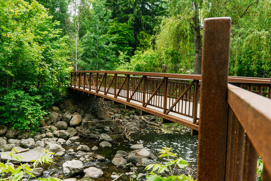 Edward Gardens, Toronto, Canada - A rustic pedestrian wooden bridge crossing a rocky creek surrounded by lush green forest