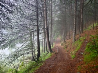 Fototapeta premium Hiking trail near Manali