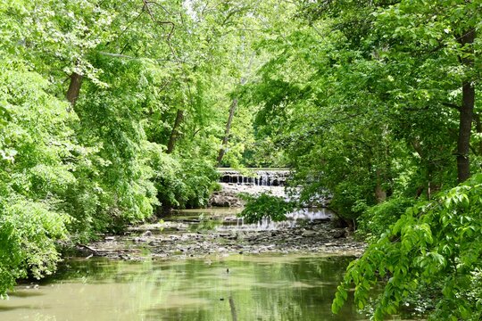 The waterfall and flowing creek in the woods.