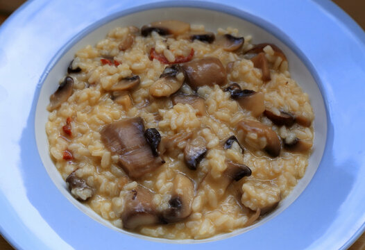 Home made risotto with mixed mushrooms and parmesan cheese. Blue and white ceramic dish.