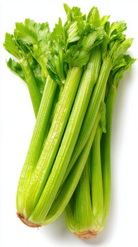 transparent celery stalks on white background