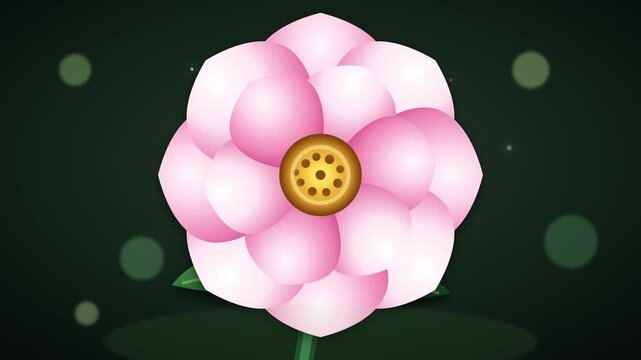 Minimalist 2D animation of a flower plant, pick color and green leaves on a black background