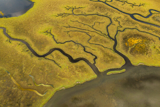 Aerial view of winding tidal channels cutting through vibrant yellow-green marshland in Greece.