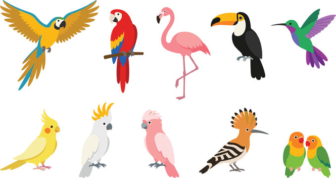 Cute Exotic Tropical Birds Vector Icon Set Featuring Macaw, Parrot, Flamingo, Toucan, Hummingbird, Cockatiel, Cockatoo, Hoopoe, and Lovebirds Elements for Kids Design