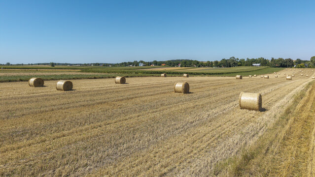 Aerial view of hay bales scattered across a harvested field under a clear blue sky in the rural landscape of Poland.