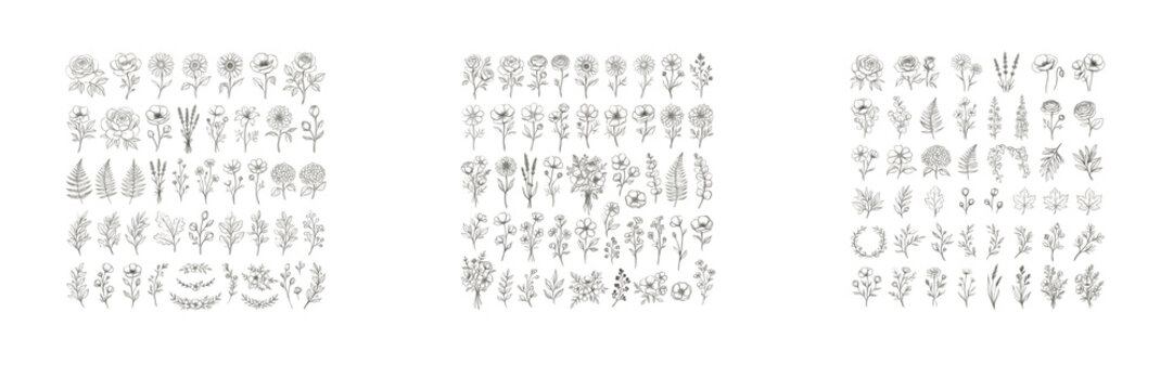 Set of hand drawn botanical floral doodle icons and vector elements isolated on a white background line art nature collection for creative design