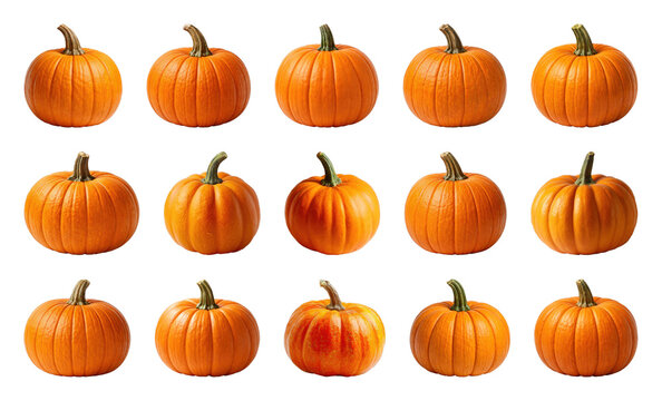 PNG Collection of vibrant orange pumpkins, transparent background