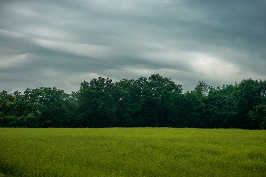 A vibrant green field sits beneath a thick wall of deciduous trees, completely dominated by an ominous, rolling storm cloud formation.