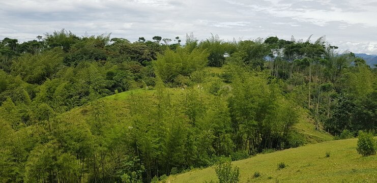 Naturaleza viva, luz y color