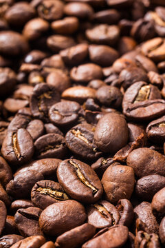 Organic Raw Dry Espresso Coffee Beans