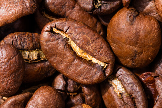 Organic Raw Dry Espresso Coffee Beans