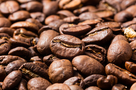 Organic Raw Dry Espresso Coffee Beans