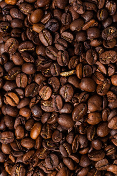 Organic Raw Dry Espresso Coffee Beans