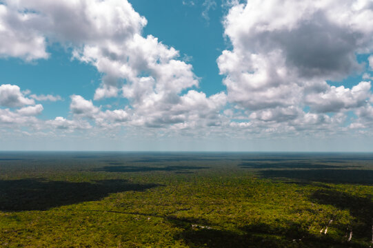Aerial view of dense tropical jungle canopy under a bright blue sky with fluffy white clouds in Tulum, Quintana Roo, Mexico.