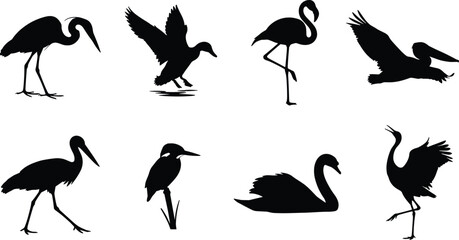 Naklejka premium Black Bird Silhouettes Collection Featuring Heron Flamingo Pelican Swan and Waterfowl in Various Poses