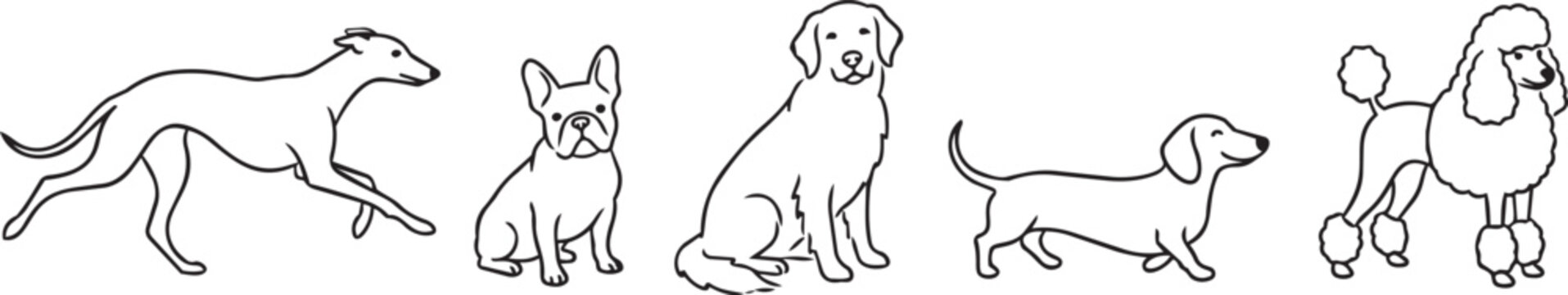 dog breed silhouette icons set with different poses and body shapes vector illustration
