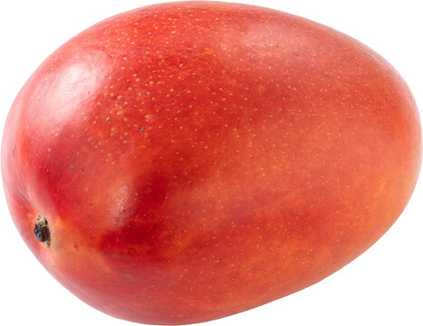 Fresh ripe mango fruit isolated on white background with clipping path