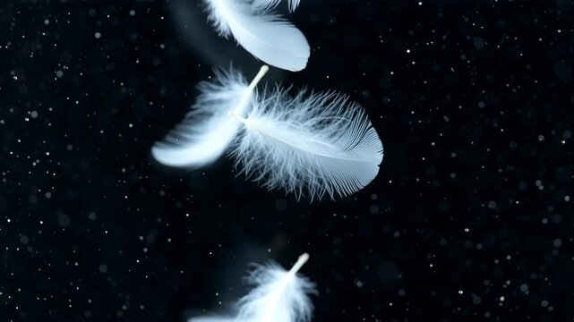 Soft white feathers floating gently in dark space against tiny sparkling bokeh dots