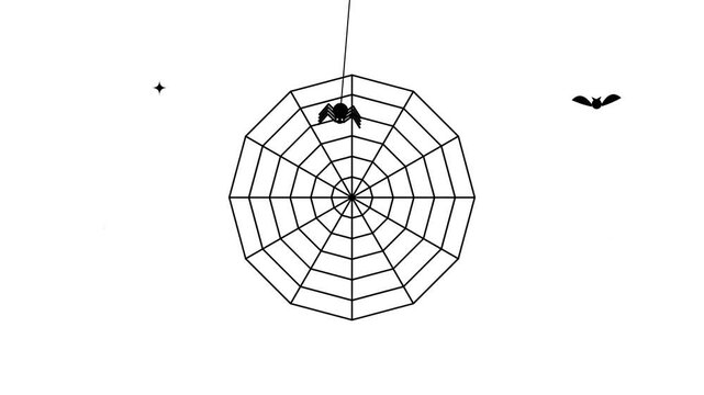 Black spider web with a spider and a bat on a white background, Halloween theme.