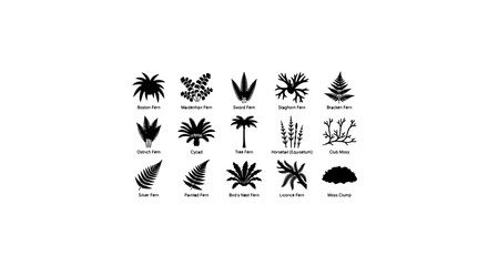 Obraz premium Dinosaur Footprint and Plant Icons, Prehistoric Flora Vector Set, Ancient Botanical Illustrations