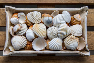 seashells on a wooden background © @CMG_IG