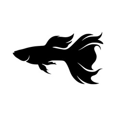 Fototapeta premium Swimming betta fish silhouette vector illustration, Betta fish swimming silhouette