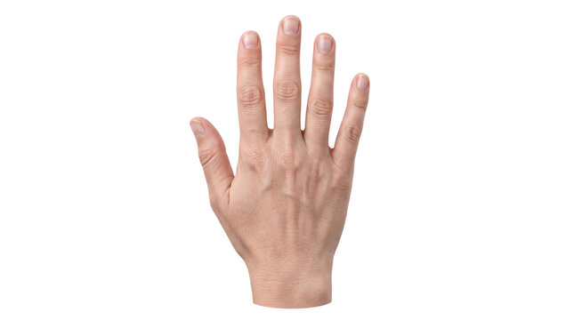 Top-down view of a human hand with fingers spread png on isolated transparent background