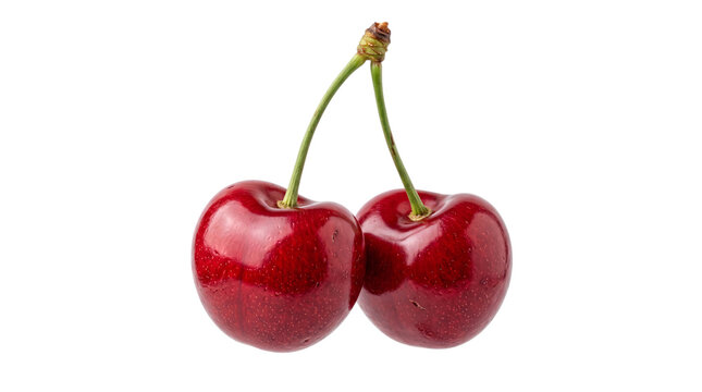 Two ripe red cherries with green stems on a white png on isolated transparent background