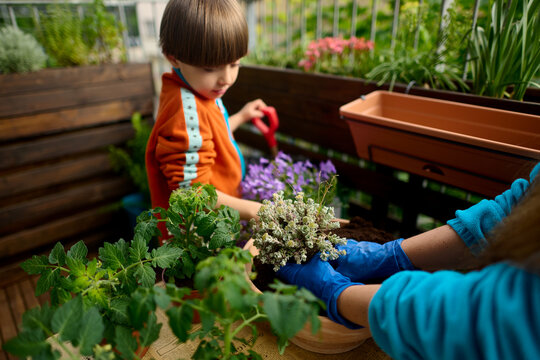 Child Planting Flowers on Balcony Garden
