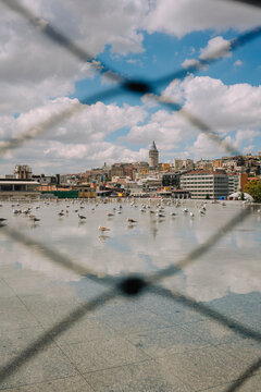 Glimpse of Galata Tower between wire fences of roof top with seagulls