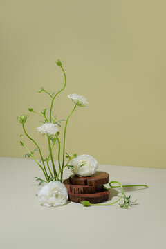 Delicate white ranunculus flowers and Queen Anne's Lace buds
