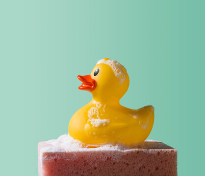 Soapy Yellow Rubber Duck Covered in Bubbles on Sponge