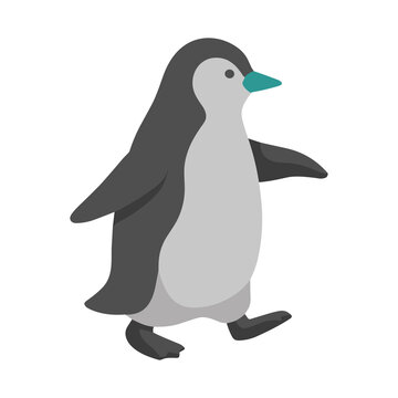 Cartoon Penguin Walking Isolated on Transparent Background