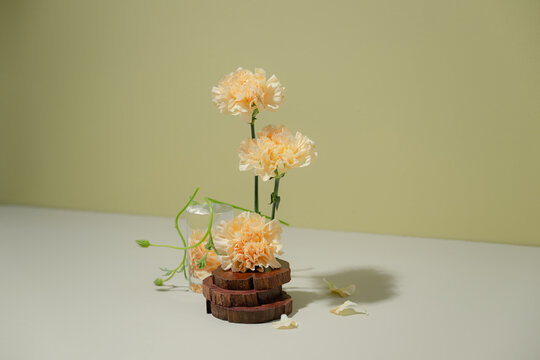 Delicate peach carnations arranged in a minimalist composition