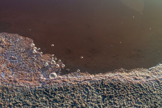 Sulphureous Water Bubbles on Sunlit Surface