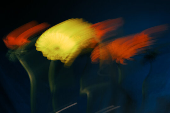 Flowers moving in a blurred background during an outdoor event