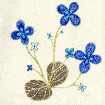 Blue imagine flowers