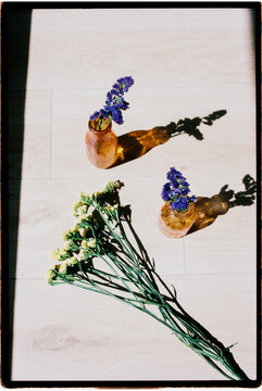 Purple and yellow flowers in vases 