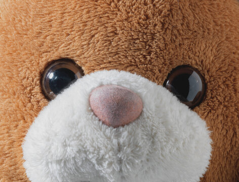 Macro Close-up Face of Cute Stuffed Animal Toy with Big Dark Eyes