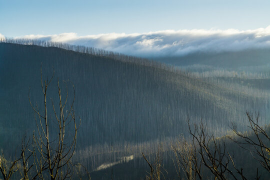 Sunlight touching mountain sides of fire ravaged forests