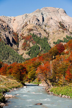 Autumn River Cerro Castillo