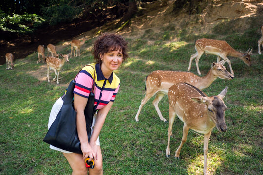 Woman Feeding Deer in Forest Park