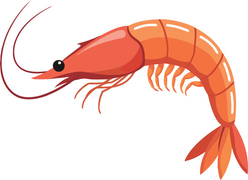 Red cooked shrimp or prawns isolated on white background.Vector  illustration cartoon style.