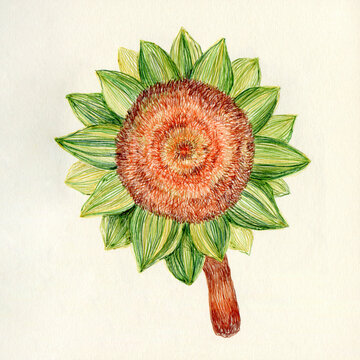 Fantastic sunflower art